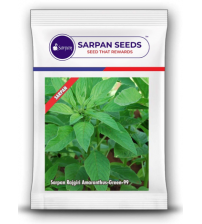 Amaranthus / Rajgiri Sarpan Green-99 250 grams